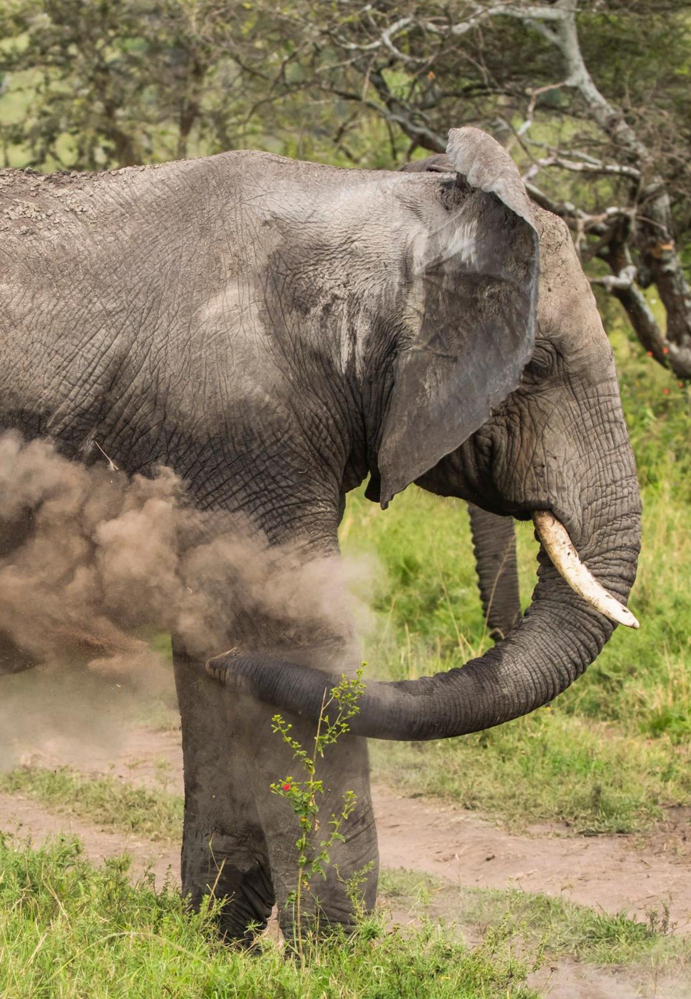 Ngorongoro Lodge Member Of Melia Collection - The Leading Hotels Of The World Экстерьер фото